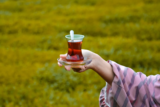10 En İyi Çay Markası